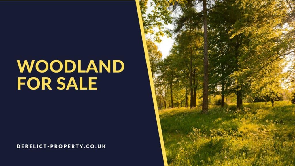 Woodland For Sale Derelict Property