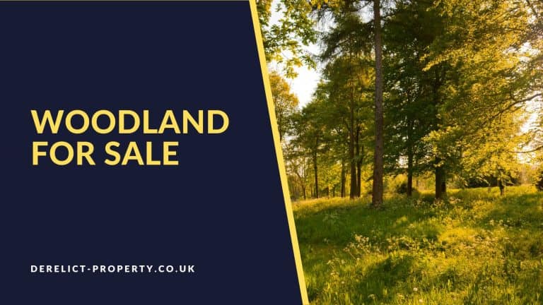 Woodland for sale