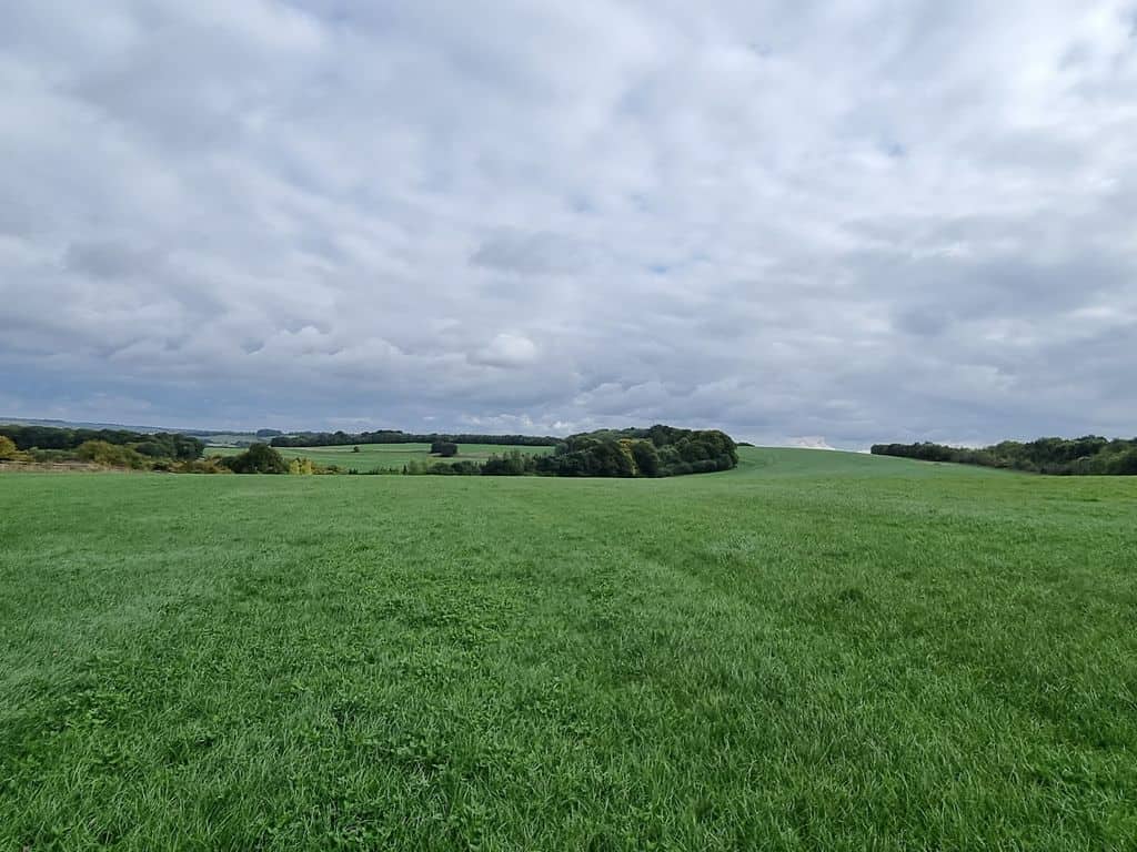 Land for sale in Wiltshire SN8 image 18
