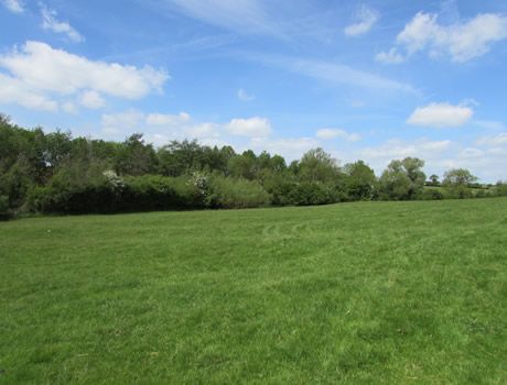 Land for sale in Buckinghamshire MK18 image 7