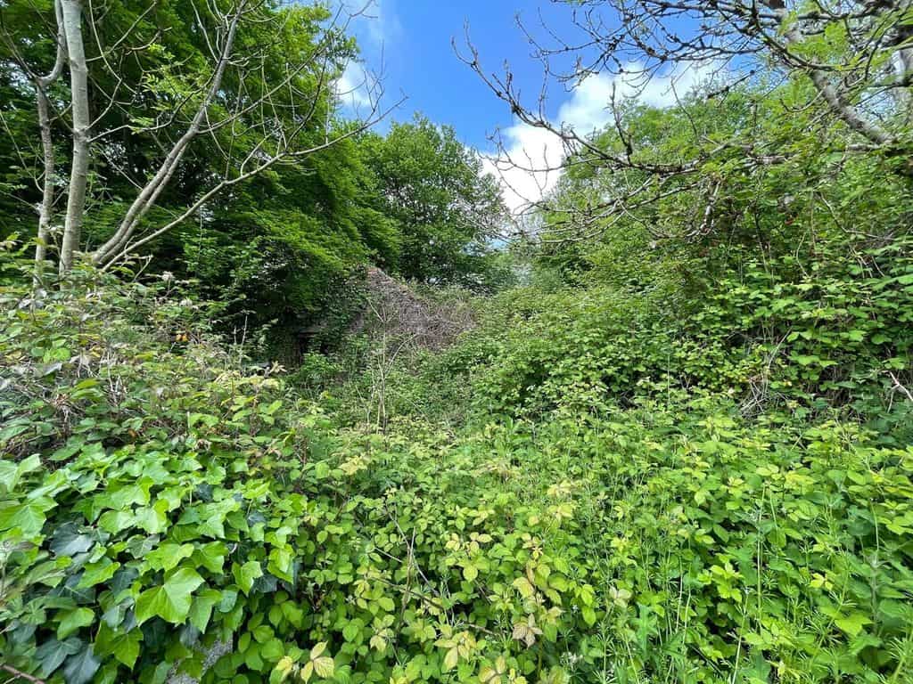 Land for sale in Carmarthenshire SA38 image 40