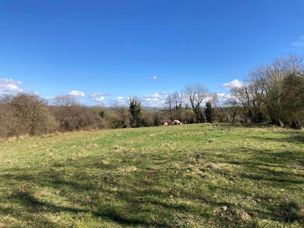 Land for sale in Carmarthenshire SA40 image 38
