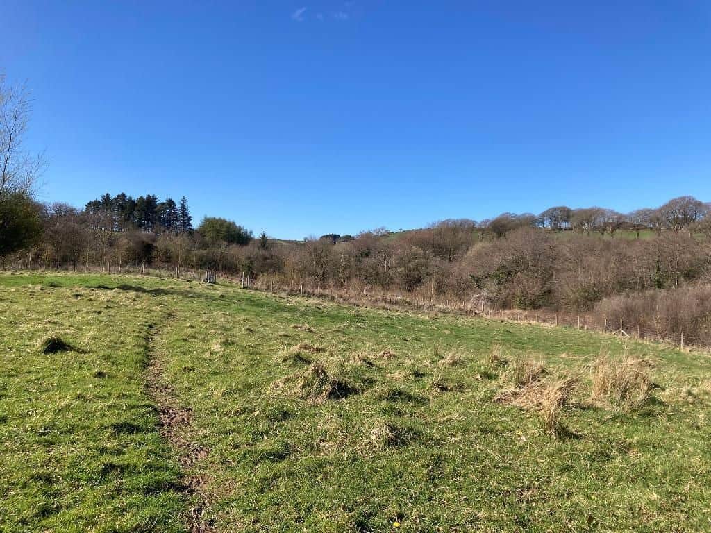 Land for sale in Carmarthenshire SA40 image 39