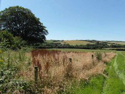 Land for sale in Dorset DT2 image 5