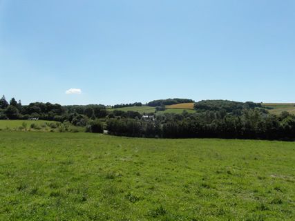 Land for sale in Dorset DT2 image 9