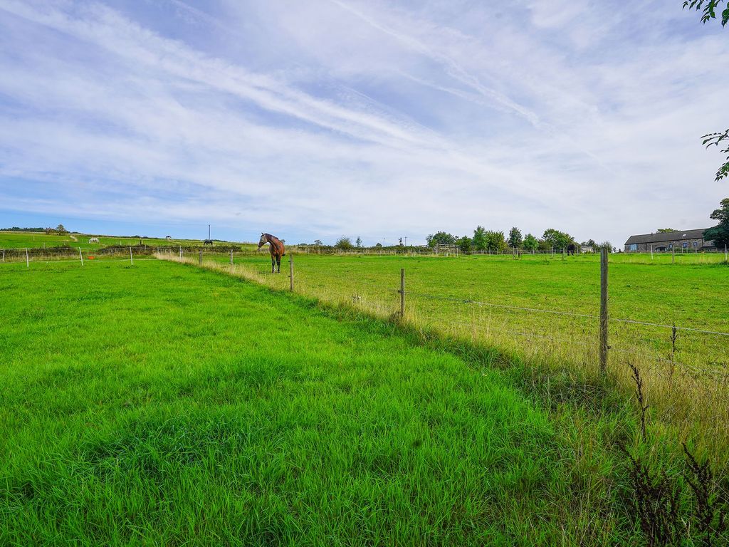 Land for sale in South Yorkshire S6 image 16