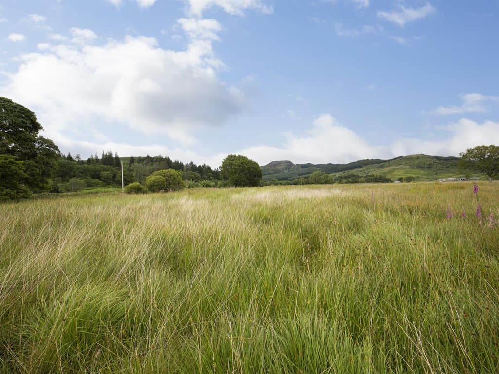 Land for sale in Argyll & Bute PA31 image 2