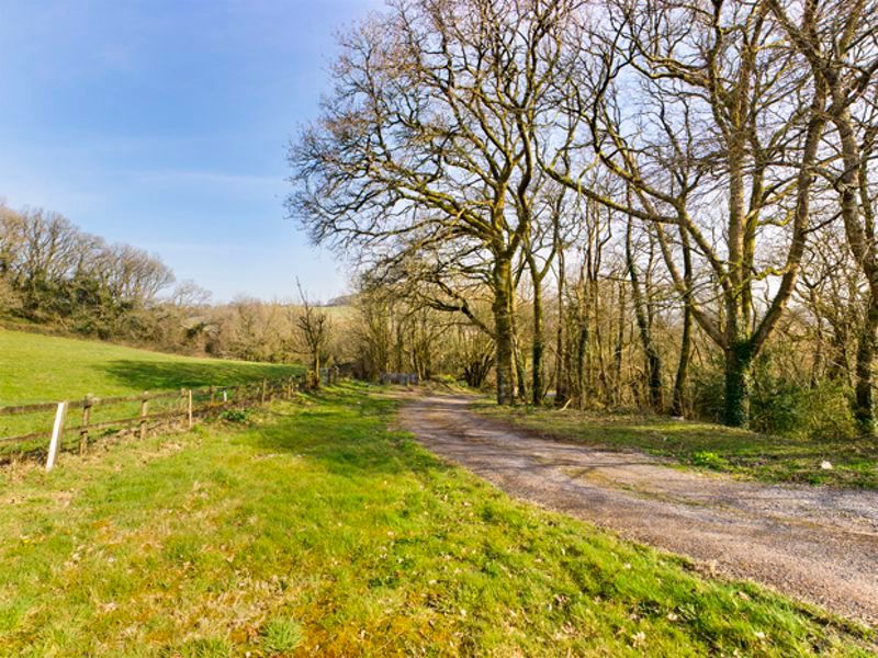 Land for sale in Carmarthenshire SA32 image 16