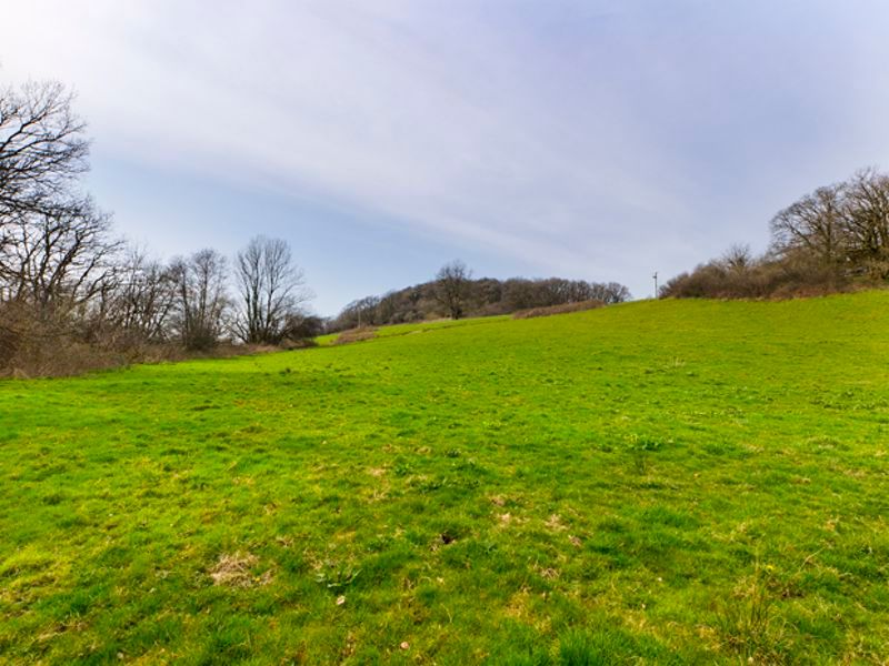 Land for sale in Carmarthenshire SA32 image 27