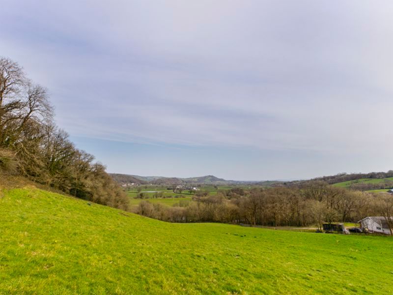 Land for sale in Carmarthenshire SA32 image 31