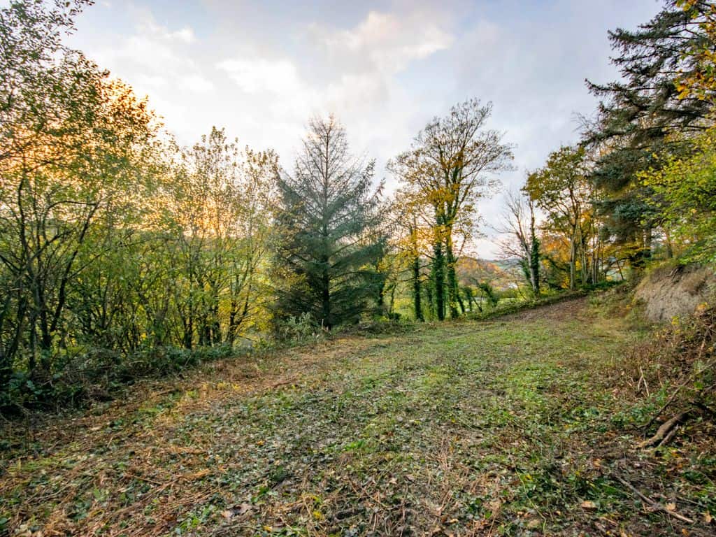 Land for sale in Powys SY22 image 2