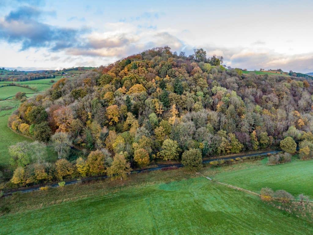 Land for sale in Powys SY22 image 1