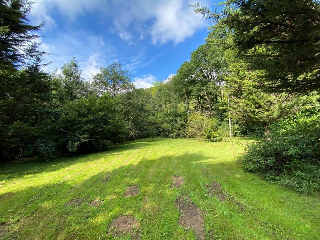 Land for sale in Carmarthenshire SA19 image 17