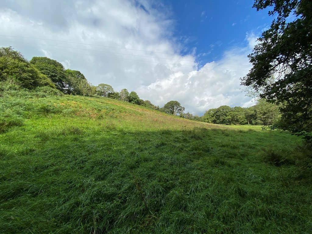 Land for sale in Carmarthenshire SA19 image 26
