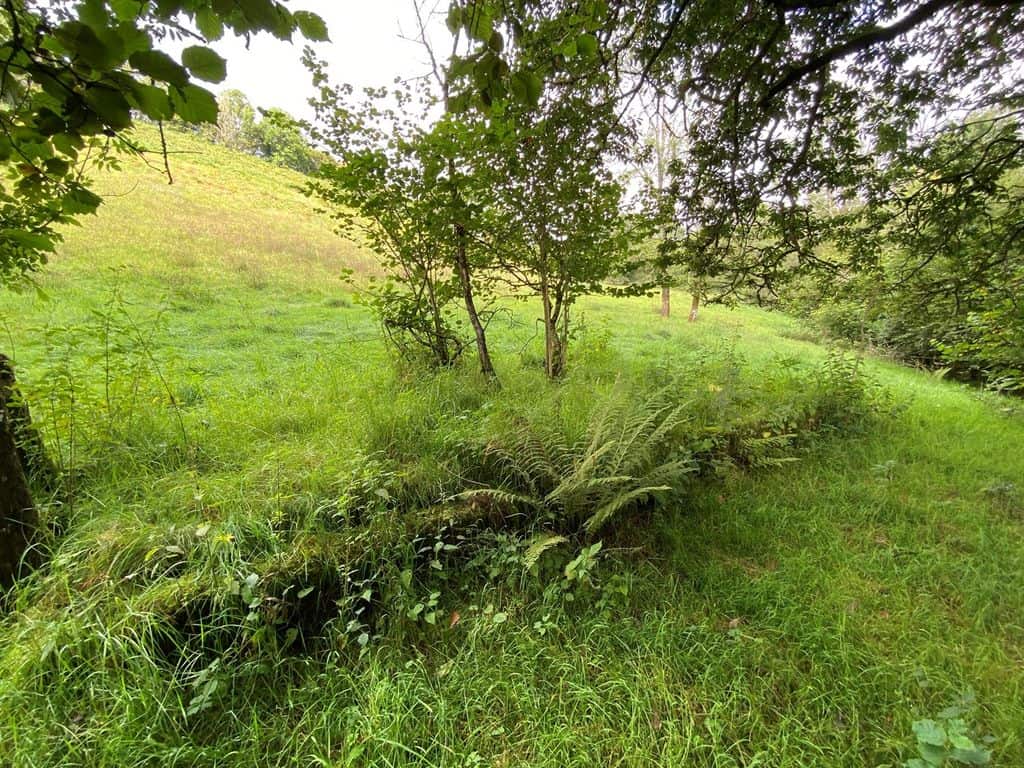 Land for sale in Carmarthenshire SA19 image 28