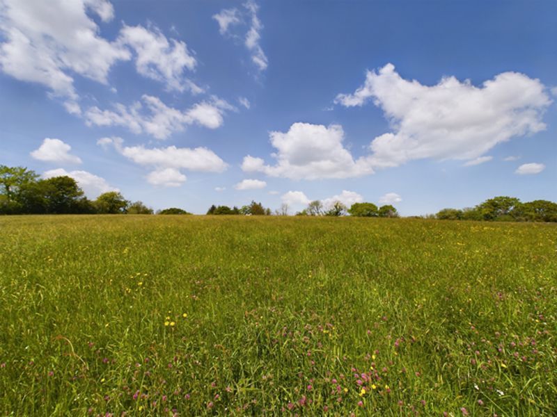 Land for sale in Carmarthenshire SA33 image 37