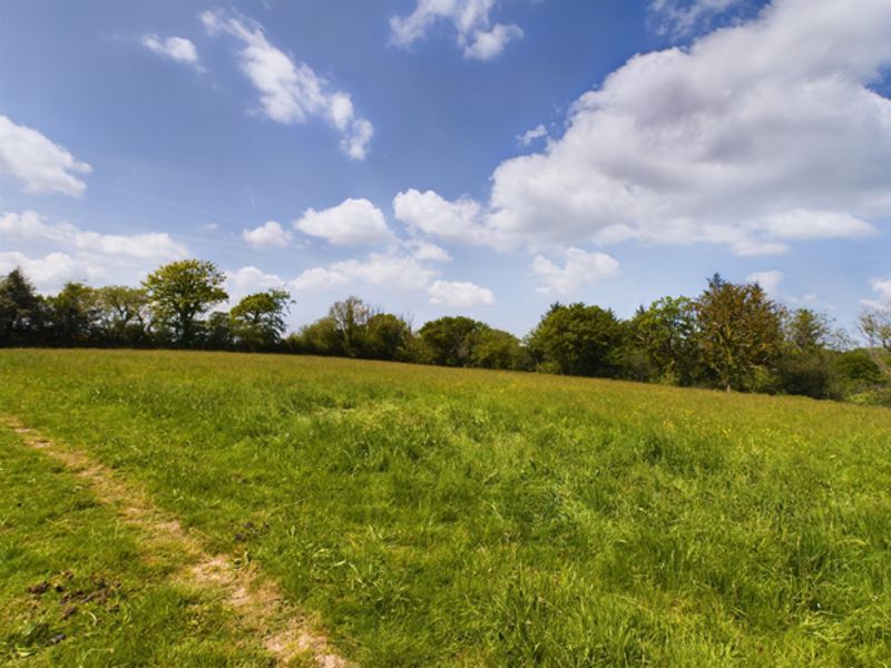 Land for sale in Carmarthenshire SA33 image 43