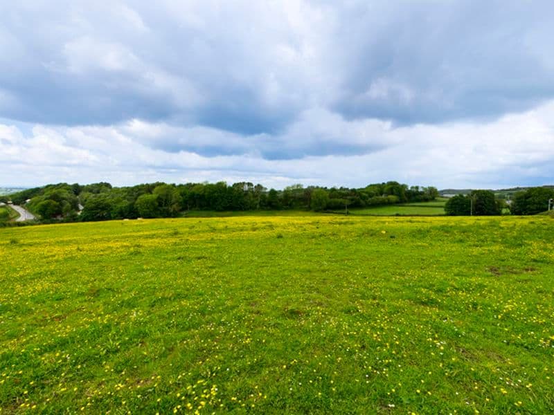 Land for sale in Carmarthenshire SA17 image 45