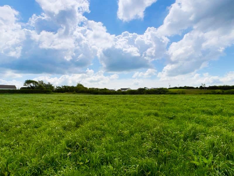 Land for sale in Carmarthenshire SA17 image 46