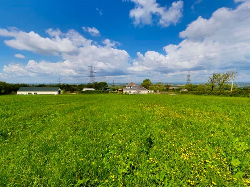 Land for sale in Carmarthenshire SA17 image 50