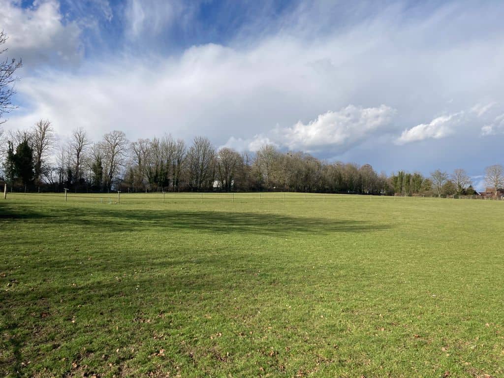 Land for sale in Hampshire SO20 image 6