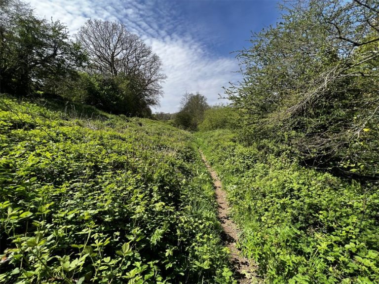 Land for sale in Modbury, Ivybridge PL21 Derelict Property