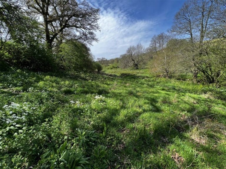 Land for sale in Modbury, Ivybridge PL21 Derelict Property