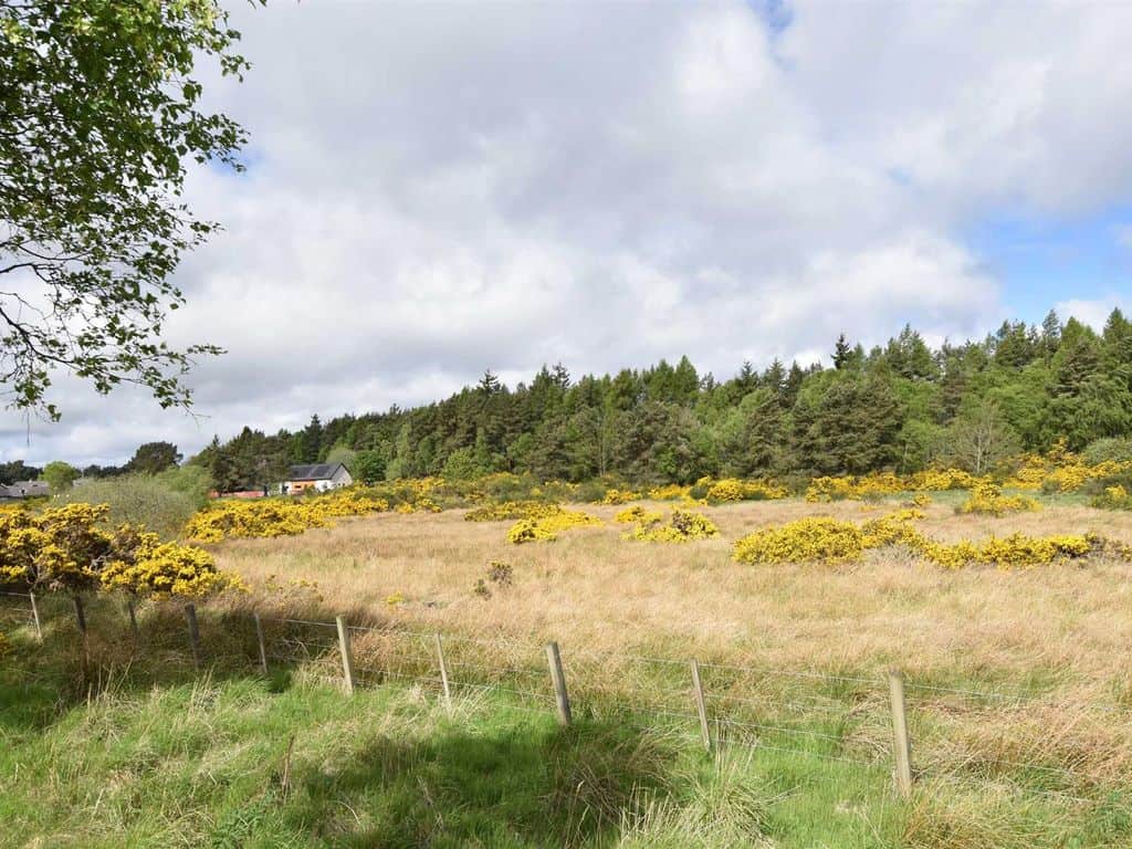 Land for sale in Highland IV18 image 1