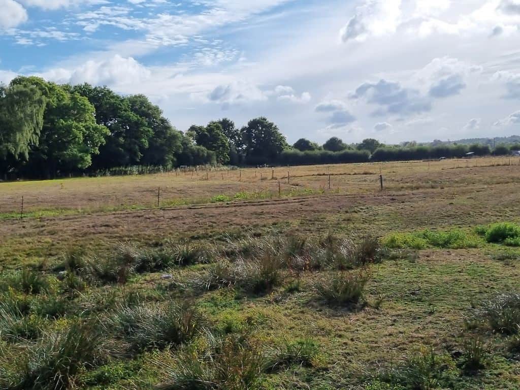 Land for sale in Wiltshire SP5 image 13