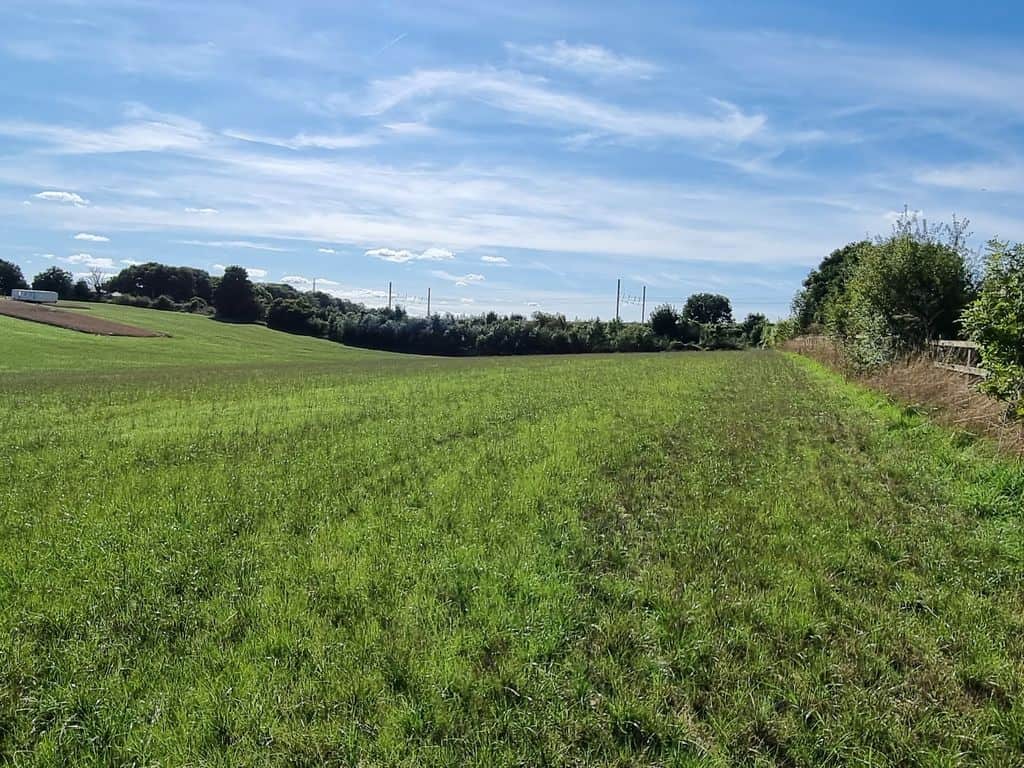 Land for sale in Hertfordshire AL3 image 13