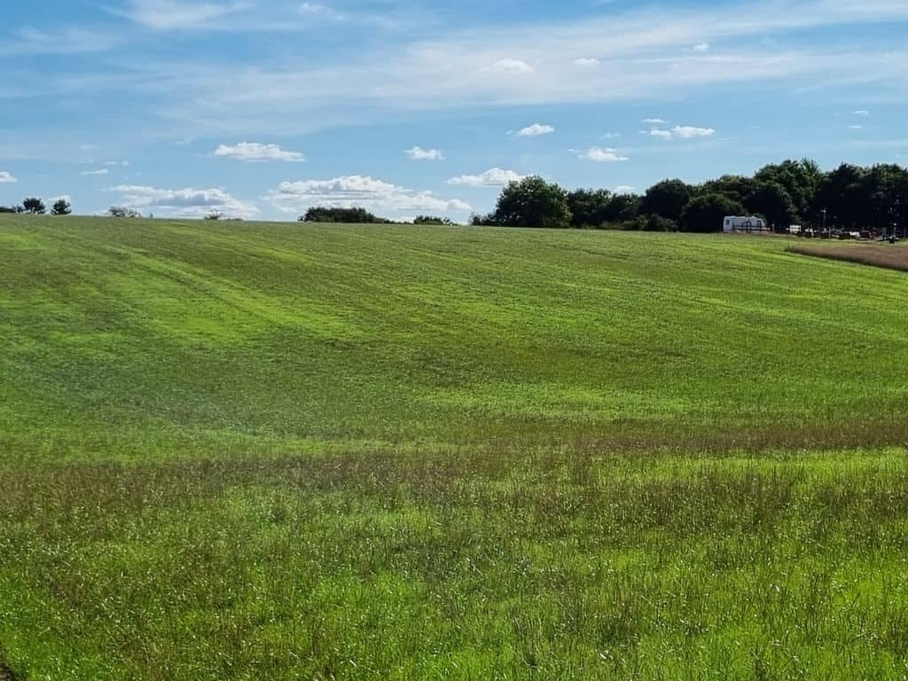 Land for sale in Hertfordshire AL3 image 16