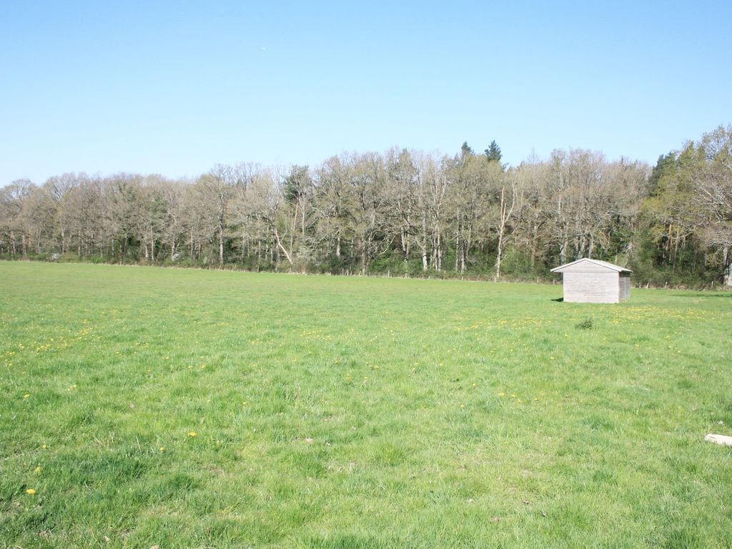 Land for sale in West Sussex RH14 image 3