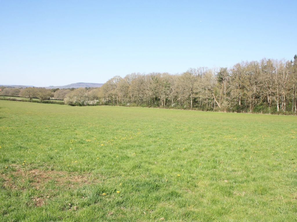 Land for sale in West Sussex RH14 image 1