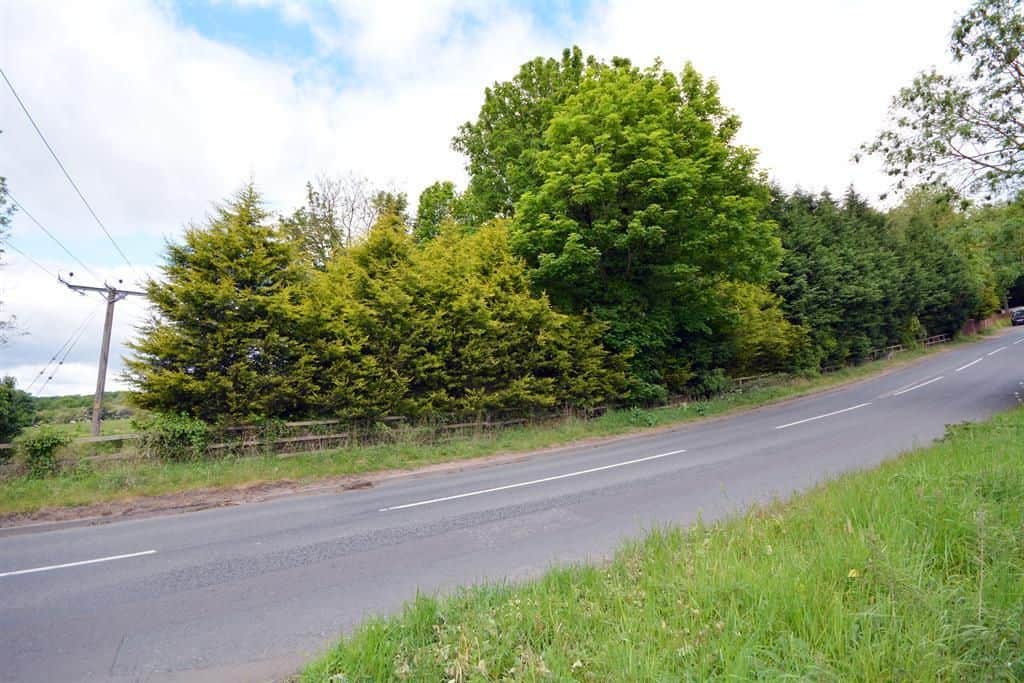 Land for sale in County Durham DL15 image 5