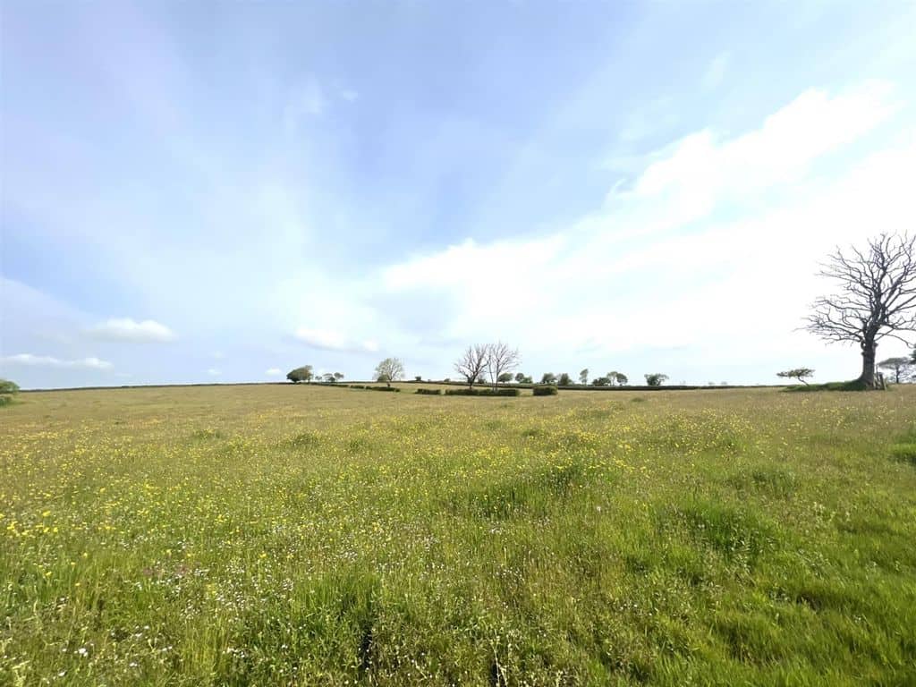Land for sale in Carmarthenshire SA33 image 1