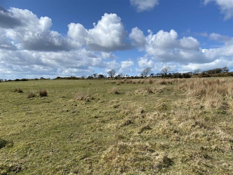 Property for sale in Trellwyn Fach, Dinas Cross, Newport SA42 Derelict Property